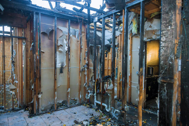 Professional Odor Removal technician working in Suamico, WI